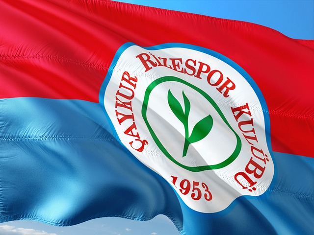 但用