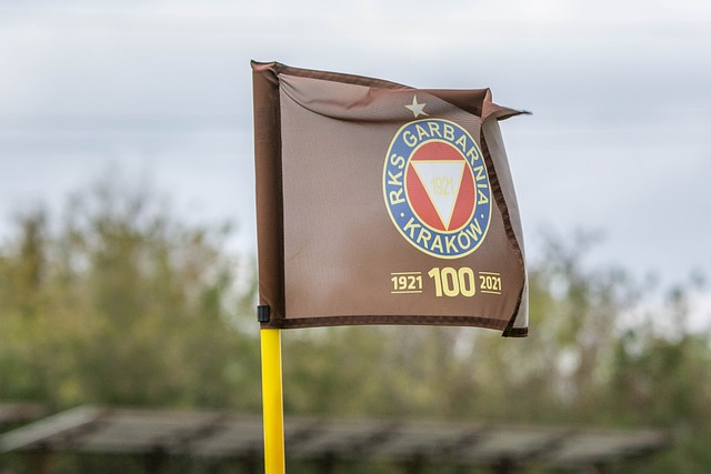 励了当今许 励了当今许