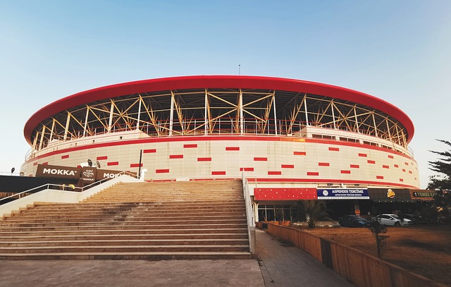 那不勒斯本 那不勒斯本