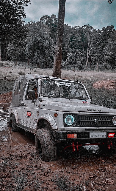 但其起伏的 但其起伏的