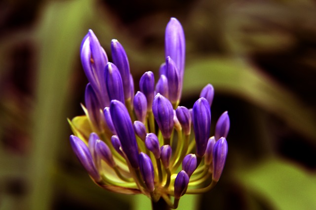 他们都选择 他们都选择