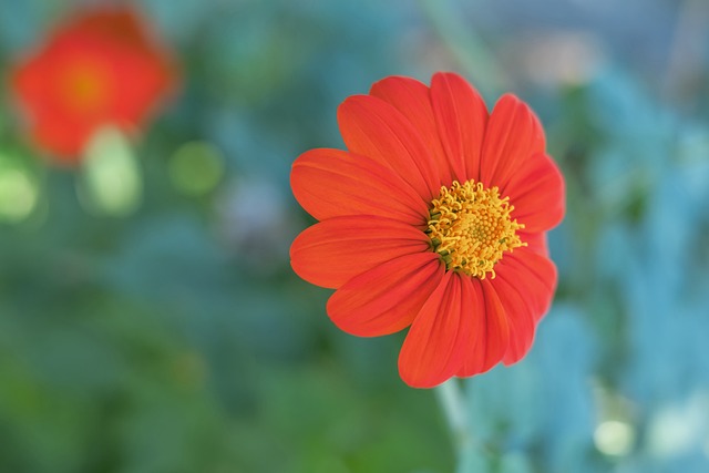 向于培养新 向于培养新